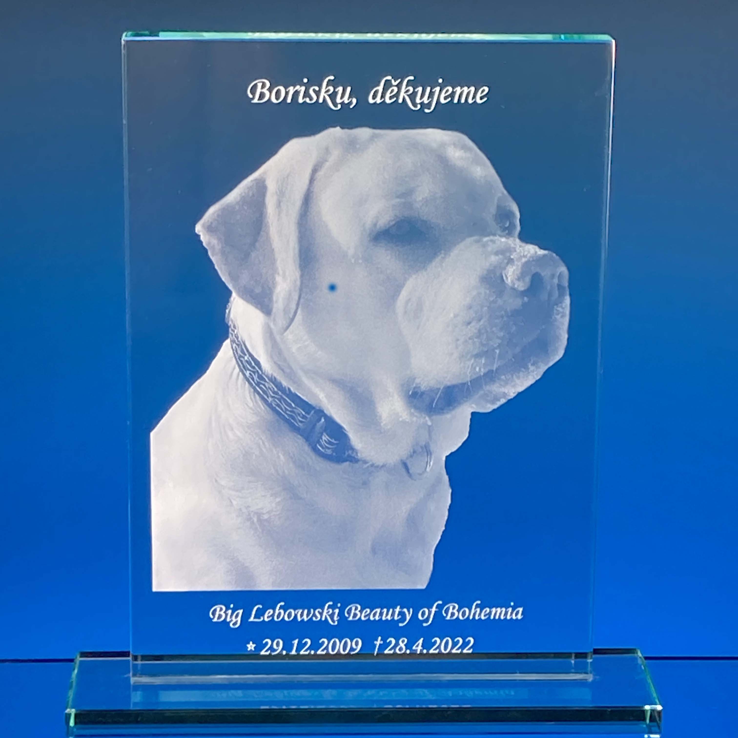 Plaketa s fotem 2D - zelené sklo  160x100x10mm