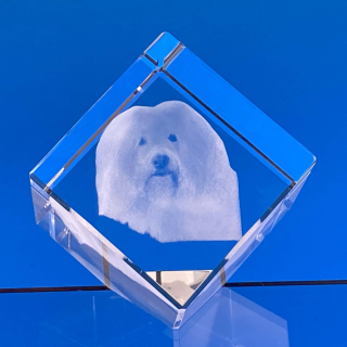 3D FOTO skleněné těžítko krychle 100x100x100 mm