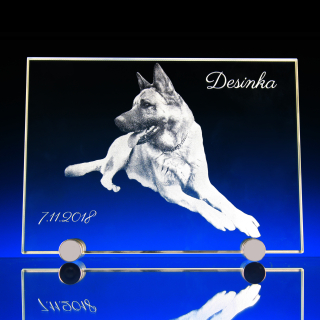 Plaketa s 2D fotkou 130x180x6mm