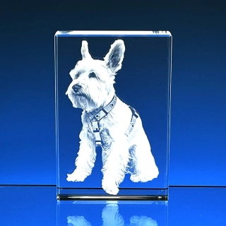 3D FOTO Těžítko kvádr 60x40x40 mm