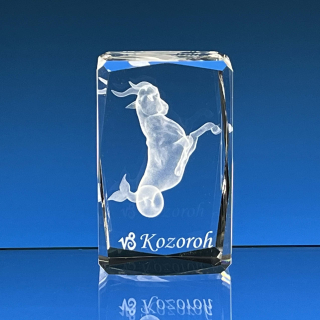 Těžítko znamení zvěrokruhu KOZOROH 60x40x40 mm