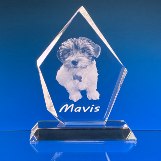 2D FOTO Skleněná plaketa 180X125X20 mm